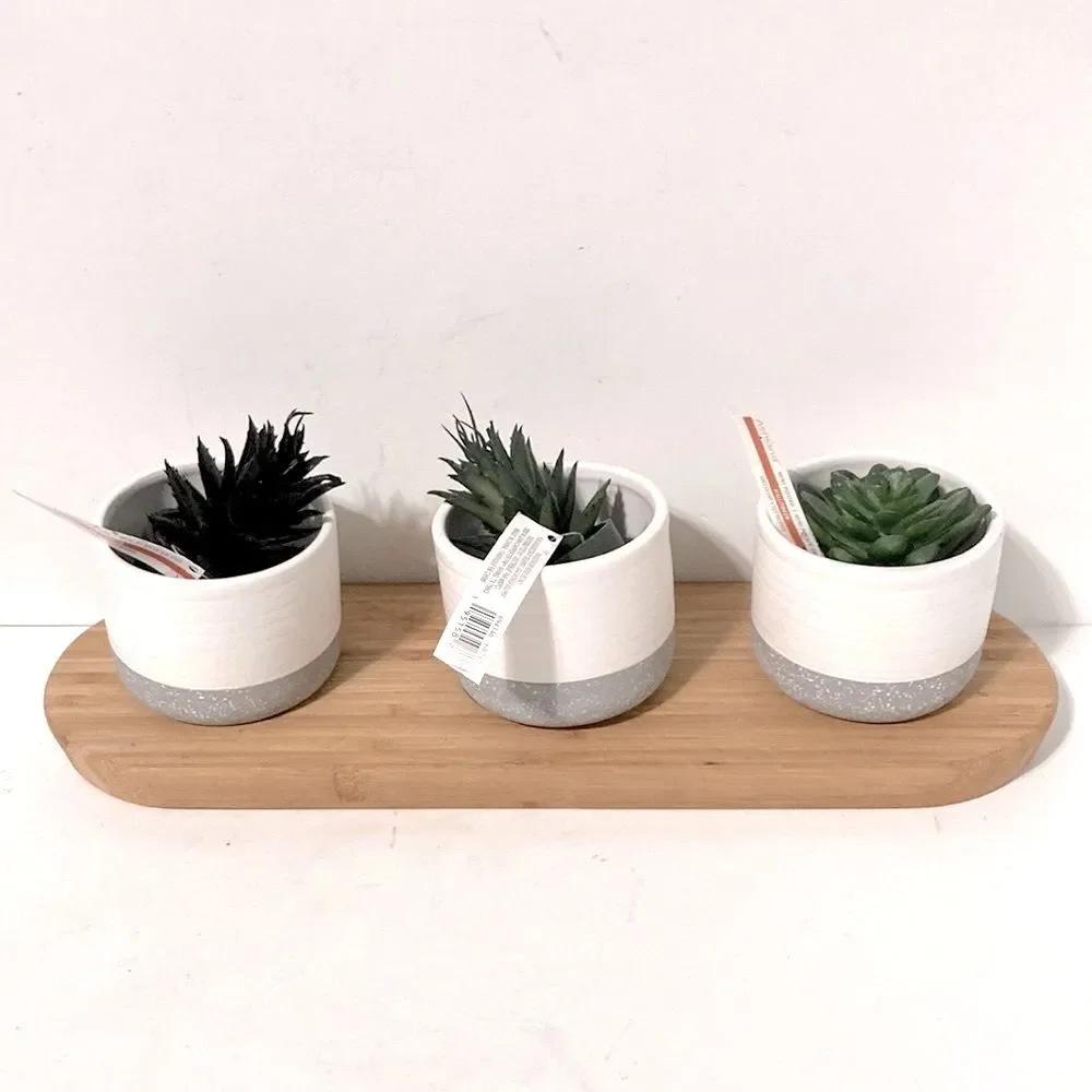 CENTERPIECE Decor Mini Faux Succulents in Ceramic Pots ASHLAND Wooden Tray